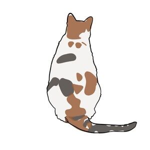 Meet your Posher, Marise